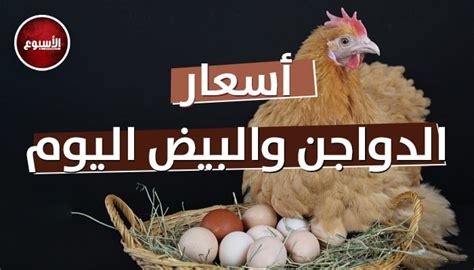 اسعار الدواجن اليوم فى مصر